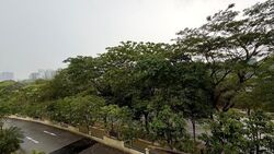 Westcove Condominium (D5), Condominium #640239671